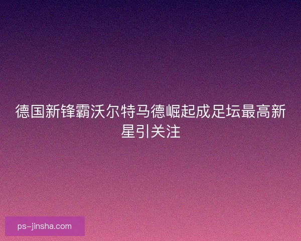 德国新锋霸沃尔特马德崛起成足坛最高新星引关注