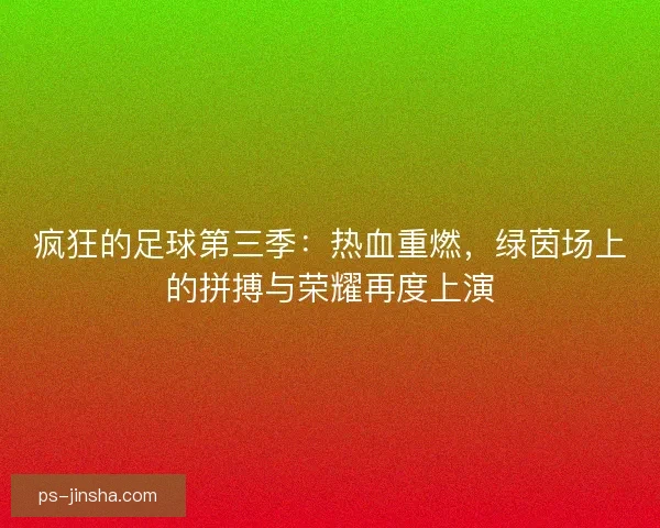 疯狂的足球第三季:热血重燃,绿茵场上的拼搏与荣耀再度上演 疯狂的足球第三季:热血重燃,绿茵场上的拼搏与荣耀再度上演