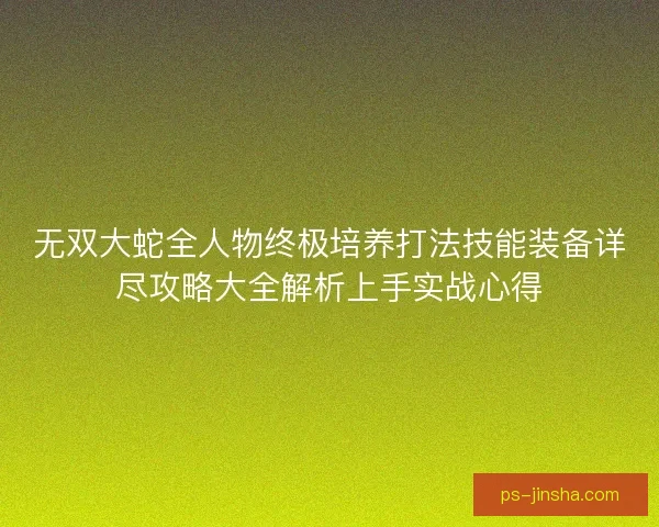 无双大蛇全人物终极培养打法技能装备详尽攻略大全解析上手实战心得